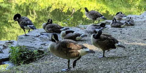 Beechwood Farms Nature Reserve