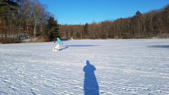 Green Turtle Lake - Ringwood State Park