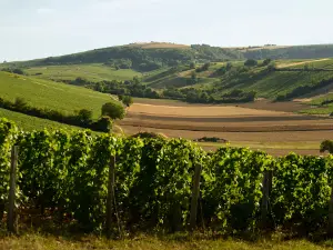 Camping Les Portes de Sancerre