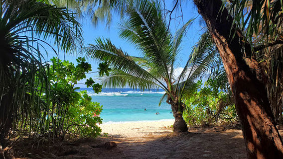 Ritidian Unit, Guam National Wildlife Refuge