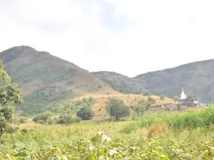 Ajipa temple jungle