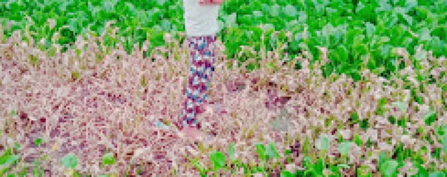 스테이트 데어 파크 & 리서치 센터