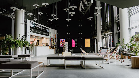 kino | nowe horyzonty