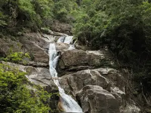 Ponmudi Government Guest House View Point