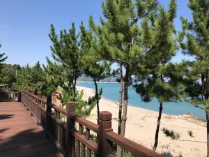 Jeongseon Railbike