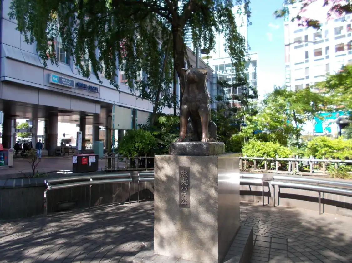 Các khách sạn gần Hachiko