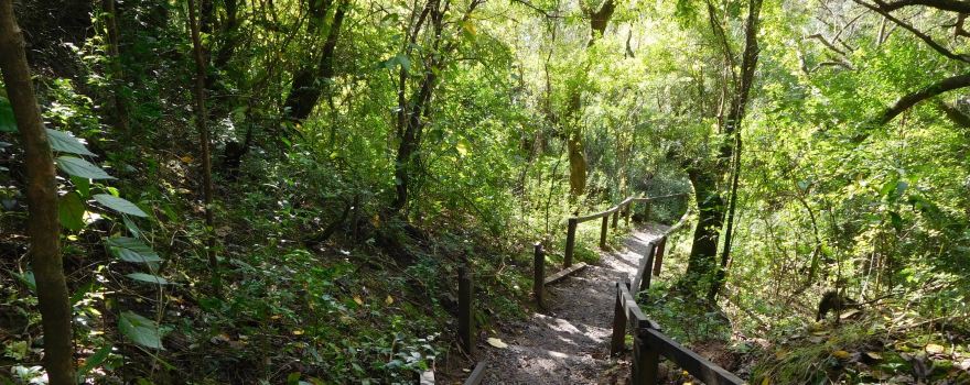 Parque Nacional Ciervo de los Pantanos