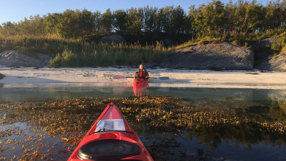 Hamn i Senja, Senja Reiseliv (Senja Travel)