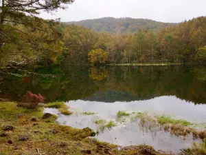 Mishaka Pond