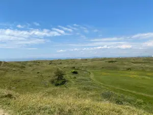 Kenfig National Nature Reserve
