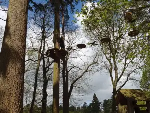 Go Ape Thetford