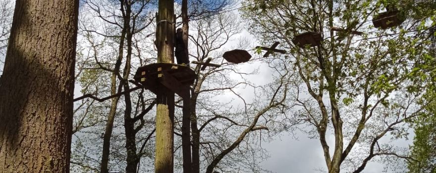 Go Ape Thetford