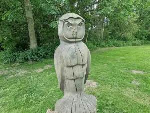 Plessey Woods Country Park