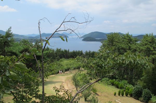 거제맹종죽 테마파크 모험의 숲