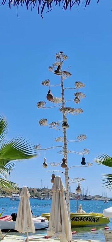 Gümbet Beach
