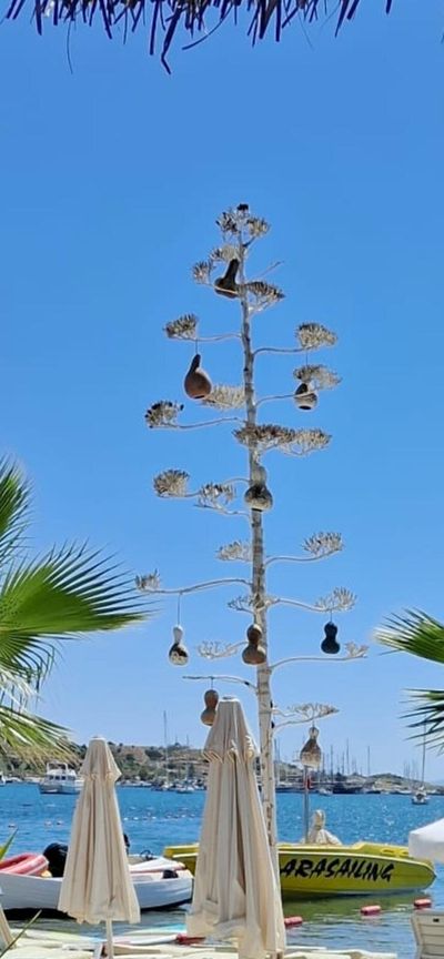 Gümbet Beach