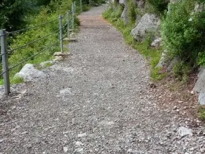 Ayubia National Park