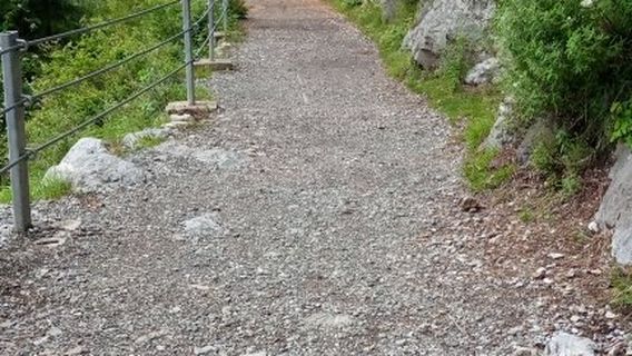 Ayubia National Park