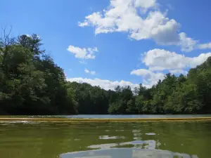 W. Kerr Scott Dam and Reservoir Visitor Assistance Center