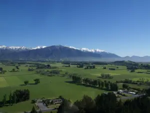 Wings Over Whales | Kaikoura Whale Watching