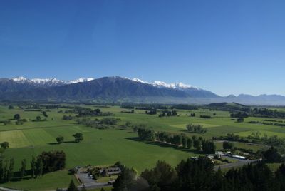 Wings Over Whales | Kaikoura Whale Watching