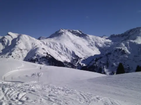 레히의 인기 스키