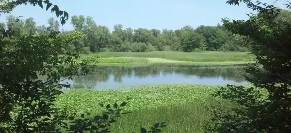 Hotels in Sodus