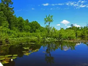 Lake Rim Park