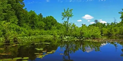 Lake Rim Park