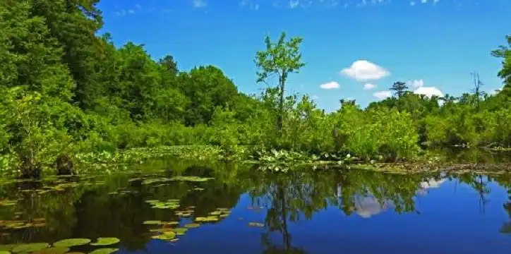 โรงแรมในเฟย์เอตต์วิลล์