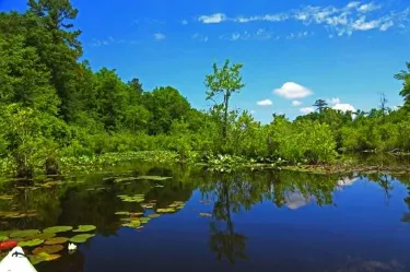 Fayetteville