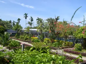 Sandakan Crocodile Farm