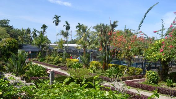 Sandakan Crocodile Farm