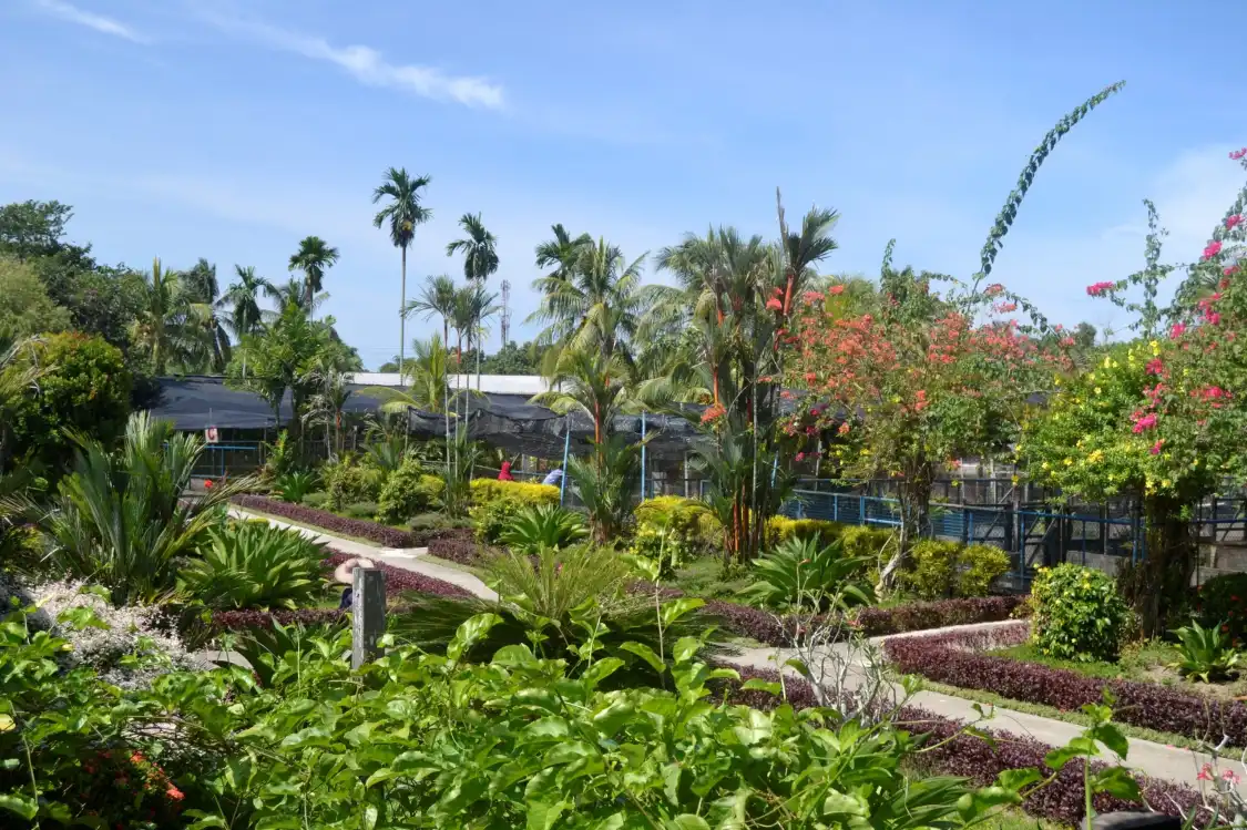 Hotels near Sandakan Crocodile Farm