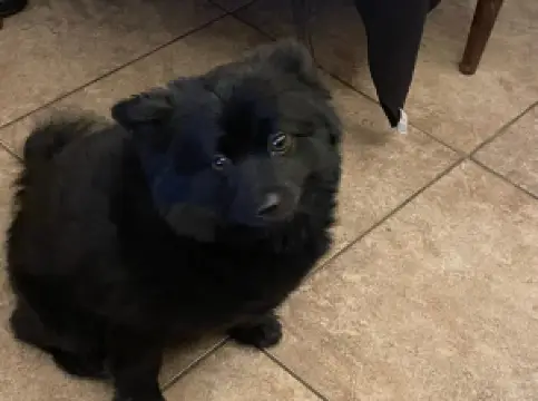 Meranda-Nixon Winery