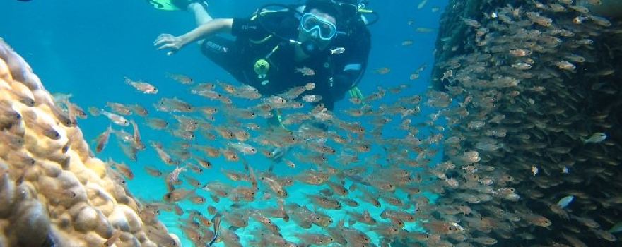 ScubaDive Vietnam