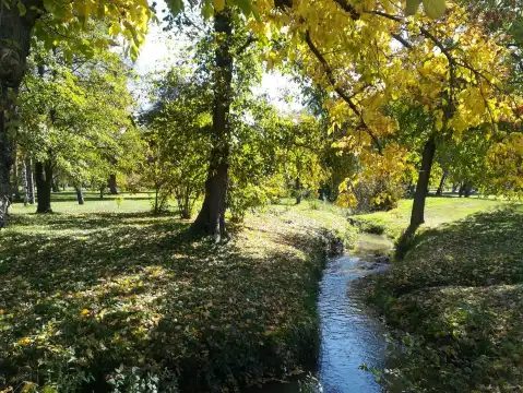 デンドラリウム公園周辺のホテル