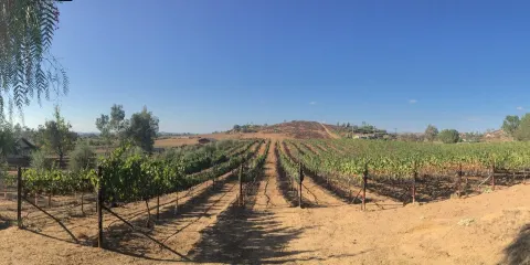 Chuparosa Vineyards