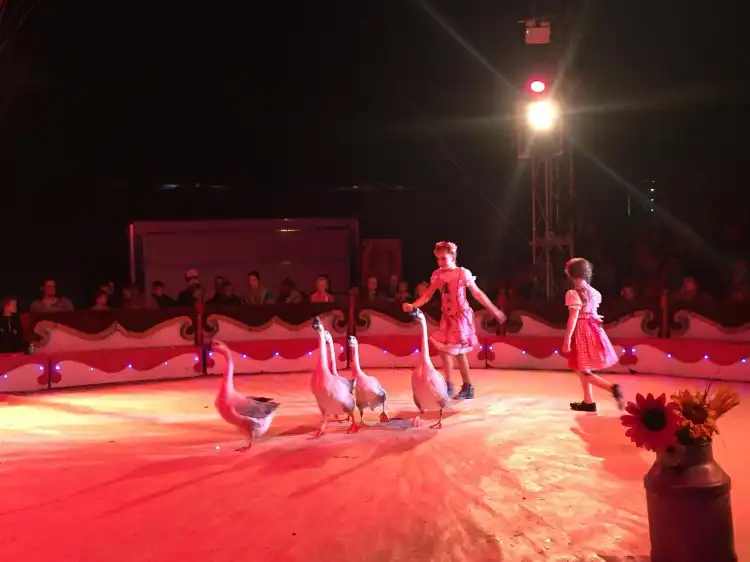 Các khách sạn ở Lucan