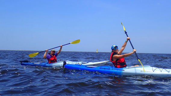 Amelia Island Kayak Excursions