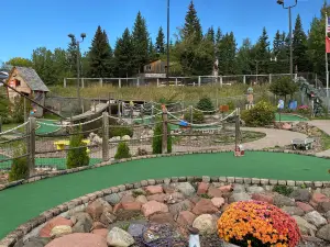 Putt N Pets