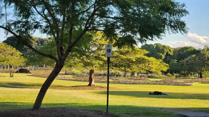 2_New Farm Park
