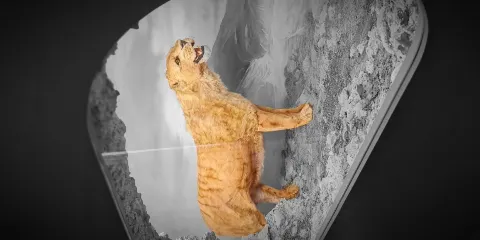 Südostbayerisches Naturkunde- und Mammut-Museum