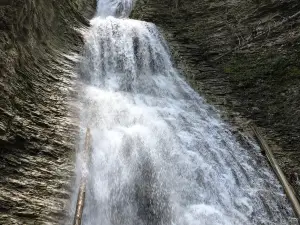 Margaret Falls