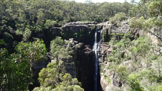 Carrington Falls