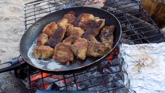 Sportfishing Bocas del Toro