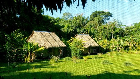 Iquitos