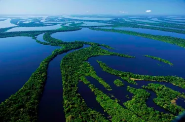 Parque Nacional de Anavilhanas