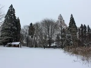 Lake Bluff Farms