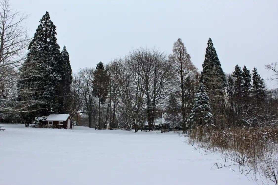 Hotels near Lake Bluff Farms